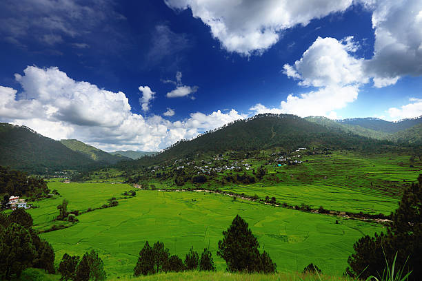 Kausani